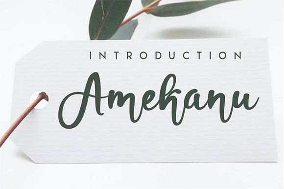 Amekanu Font Review: Classic Script for Modern Branding
