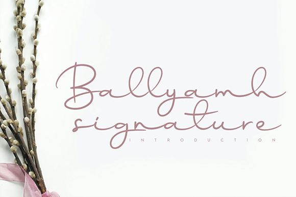 Ballyamh Signature Font: Elevating Small Business Branding