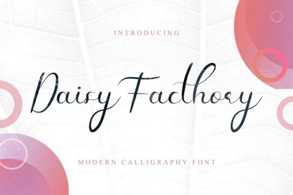 Daisy Facthory Font for Organic Brand Identity Design