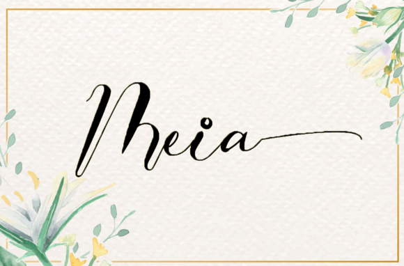 Meia: A Timeless Script Handwritten Font for Elegant Branding Projects