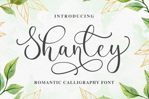 Shanley Font: Elevating Campaign Visuals with Classic Style